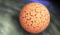 Κονδυλώματα - HPV: Έγκαιρη διάγνωση και ασφαλής αντιμετώπιση