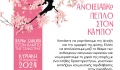 Ανοιξιάτικο Πέπλο στον Κάμπο: Η πρώτη εκδήλωση ανθοφορίας Ιαπωνικών  κερασιών στην Κύπρο