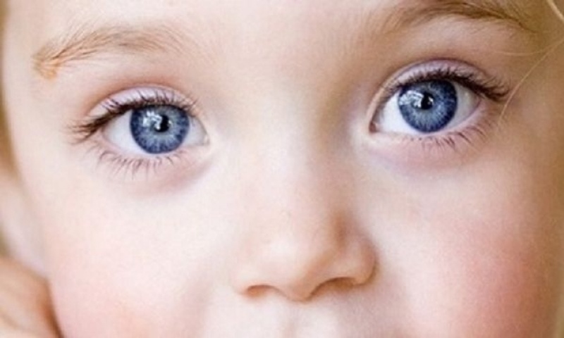 Папа глаза. Детские глаза. Серо-карие глаза у ребенка. Серые глаза у ребенка. Детские голубые глаза.
