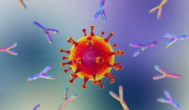 Ο SARS-CoV-2 μολύνει τα κύτταρα του ανοσοποιητικού και προάγει τη φλεγμονή