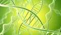 Τεστ DNA μπορεί να προβλέψει εάν ένα 5χρονο θα είναι παχύσαρκο στην ενήλικη ζωή
