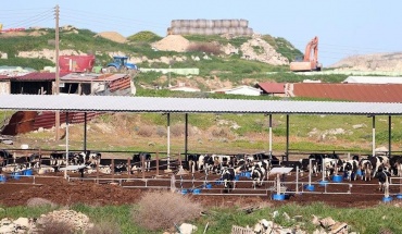 Αποτυχημένη θεωρούν τη διαχείριση του αφθώδους οι Οικολόγοι