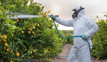 Ετοιμότητα ΕΕ να συζητήσει προτάσεις για μείωση φυτοφαρμάκων