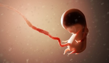 Eπιστήμονες δημιούργησαν μοντέλο ανθρώπινου εμβρύου, χωρίς σπέρμα, ωάριο και μήτρα