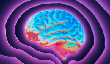 H επιληψία συνδέεται με ένα υποφλοιώδες δίκτυο στον εγκέφαλο