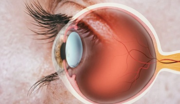 Νέου τύπου "ψευδαίσθηση" αποκαλύπτει την κυτταρική σύνθεση των αμφιβληστροειδών μας