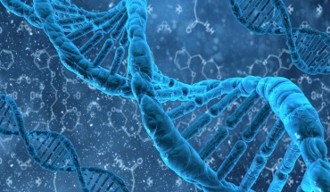 Η μακροζωία καθορίζεται κυρίως από τα γονίδιά μας