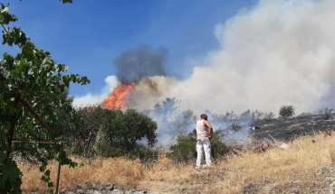 Υπό έλεγχο η πυρκαγιά στην ημιορεινή Λεμεσό, σε επιφυλακή οι δυνάμεις