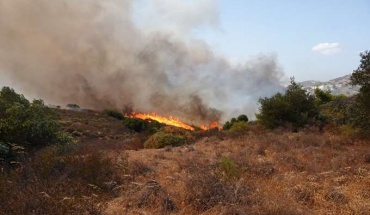 Πυρκαγιές: Ο καπνός επηρεάζει τον αέρα και την υγεία σε μακρινές περιοχές