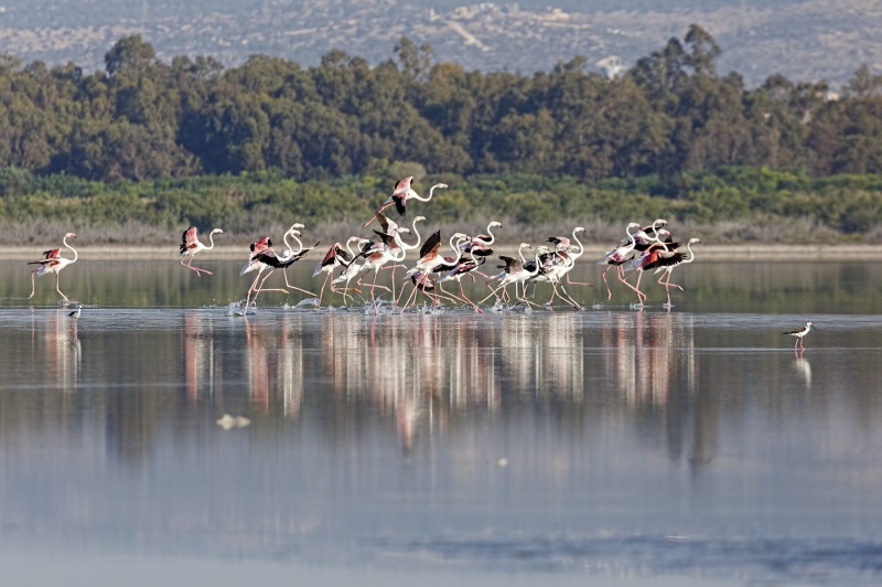 &Sigma;ή&mu;&alpha; &kappa;&iota;&nu;&delta;ύ&nu;&omicron;&upsilon; &gamma;&iota;&alpha; &tau;&omicron;&upsilon;&sigmaf; &upsilon;&gamma;&rho;&omicron;&beta;&iota;ό&tau;&omicron;&pi;&omicron;&upsilon;&sigmaf; &tau;&eta;&sigmaf; &Kappa;ύ&pi;&rho;&omicron;&upsilon;
