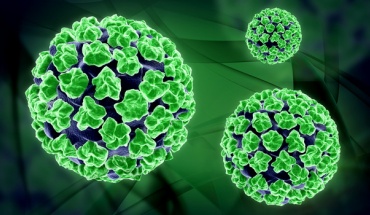 Μελέτη λοιμωξιολόγων δείχνει την επίπτωση του HPV στις γυναίκες