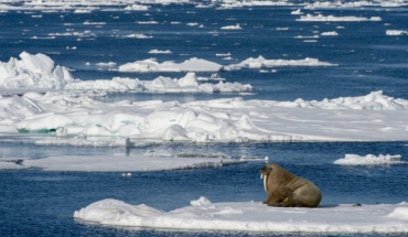 Η Αρκτική ανεβάζει θερμοκρασία τέσσερις φορές γρηγορότερα από υπόλοιπο κόσμο