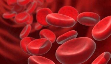 Αυξητική η τάση των ασθενών με αιμοσφαιρινοπάθειες στην Κύπρο