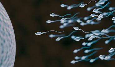 Βρέθηκε DNA της ευλογιάς των πιθήκων σε σπέρμα