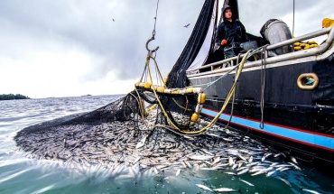 Στα €5 εκατ. η αξία αλιευμάτων της Κύπρου
