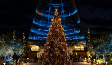 Η Μαρίνα Αγίας Νάπας βάζει τα γιορτινά της