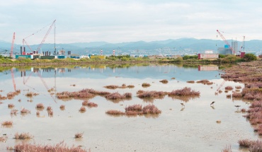 Στα χέρια της κυβέρνησης η διάσωση αλυκής Ακρωτηρίου