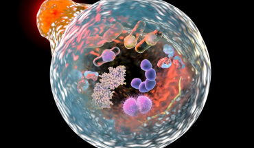 Λυσοσώματα και Νόσος Πάρκινσον: Βρέθηκε νέο "μονοπάτι" θεραπείας