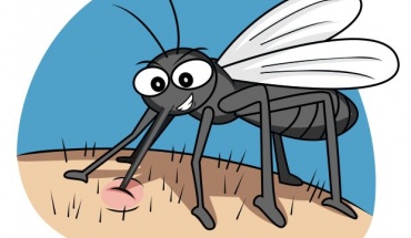 Μένουμε μακριά από τα κουνούπια και αυτά από εμάς...