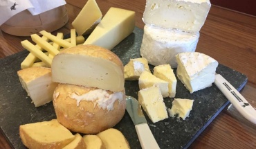 Τα τυριά ίσως βοηθούν στην πρόληψη της άνοιας