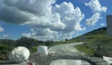 Κτηνιατρικές Υπηρεσίες: Νομική υποχρέωση η καθολική θανάτωση ζώων