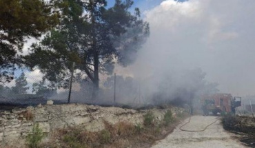 Πυρκαγιά στα όρια του δάσους Ακάμα αντιμετώπισαν οι δυνάμεις πυρόσβεσης