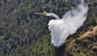 Ανησυχίες για διαμελισμό του Τμήματος Δασών