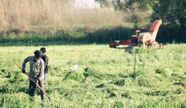 Αναδρομικό «χαράτσι» στους αγρότες