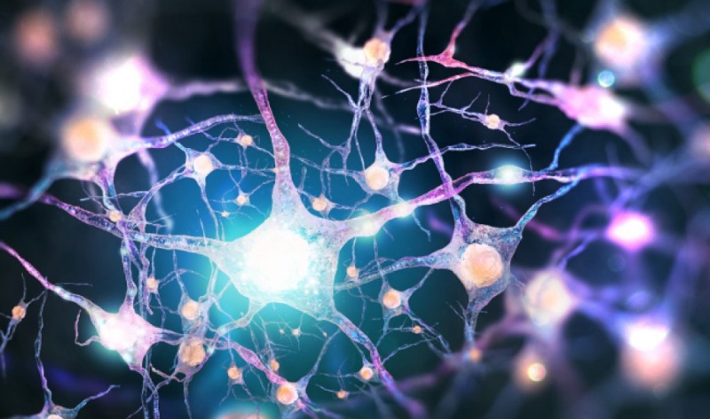 Σοβαρές ενδείξεις ότι η διατροφή μπορεί να βοηθήσει στις αγχώδεις διαταραχές