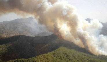 Υπό πλήρη έλεγχο δασική πυρκαγιά σε περιοχή της κοινότητας Μιτσερού
