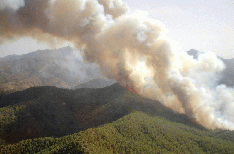 Υπό πλήρη έλεγχο δασική πυρκαγιά σε περιοχή της κοινότητας Μιτσερού