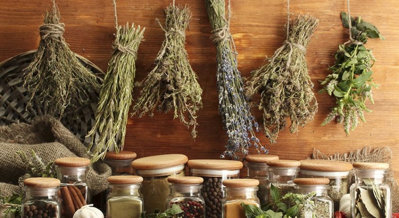 &Lambda;έ&mu;&epsilon; "&nu;&alpha;&iota;" &sigma;&tau;&alpha; &beta;ό&tau;&alpha;&nu;&alpha; &gamma;&iota;&alpha; &kappa;&alpha;&lambda;ύ