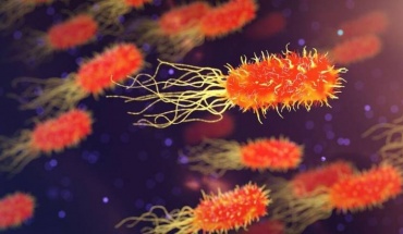 Ευρώπη: Αύξηση ανθεκτικών βακτηριακών λοιμώξεων αίματος από γήρανση πληθυσμού