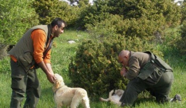 Ανάγκη στενότερης συνεργασίας με Ομοσπονδία Κυνηγίου και Διατήρησης Άγριας Ζωή