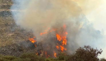 Ολονύχτια μάχη με τις φλόγες για κατάσβεση πυρκαγιάς μεταξύ Στρουμπιού και Κοίλης
