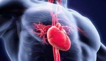 Νέα κριτήρια για τα κατάλληλα μοσχεύματα καρδιάς
