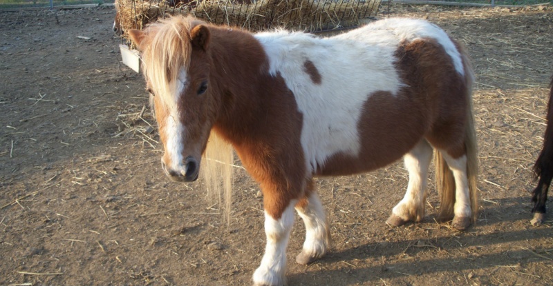 &Kappa;&alpha;&tau;&alpha;&gamma;&gamma;&epsilon;&lambda;ί&alpha; &gamma;&iota;&alpha; &theta;ά&nu;&alpha;&tau;&omicron; &pi;ό&nu;&upsilon; &sigma;&epsilon; &chi;&rho;&iota;&sigma;&tau;&omicron;&upsilon;&gamma;&epsilon;&nu;&nu;&iota;ά&tau;&iota;&kappa;&epsilon;&sigmaf; &epsilon;&kappa;&delta;&eta;&lambda;ώ&sigma;&epsilon;&iota;&sigmaf;