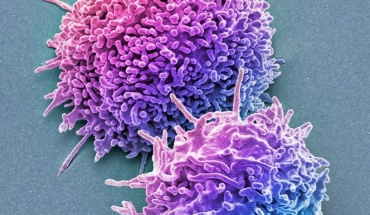 Τα Τ λεμφοκύτταρα στη μάχη έναντι της Όμικρον