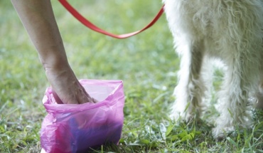 Με το σκύλο, το σακούλι και μασκαρεμένοι για καρναβάλια στην Αγλαντζιά