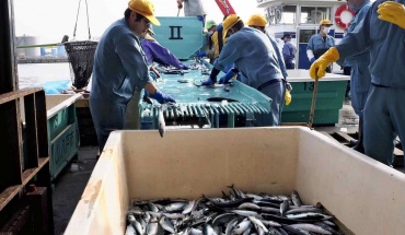 Η Κίνα απαγορεύει εισαγωγές θαλασσινών από Ιαπωνία