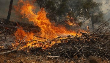 Κόκκινο συναγερμό για πυρκαγιές το Σάββατο σήμανε το Τμήμα Δασών