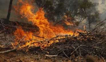 Αποφάσεις και μέτρα για αντιμετώπιση πυρκαγιών