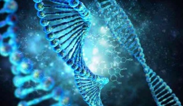 Γενετική προδιάθεση για σοβαρή νόσηση COVID-19: Τα πρώτα στοιχεία αποκαλύπτονται