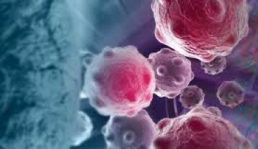 Στο προσκήνιο η μάχη κατά του καρκίνου