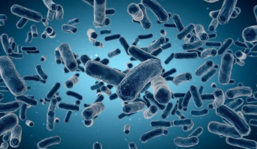 Βακτηριακή λοίμωξη στα μάτια συνδέεται με τη Νόσο Αλτσχάιμερ