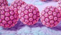HPV: Μύθοι και αλήθειες για τις μυρμηγκιές και τα κονδυλώματα