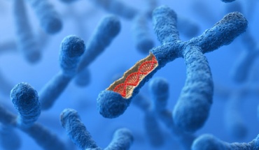 Γονίδια και αυτοάνοσα νοσήματα: Πως συνδέονται