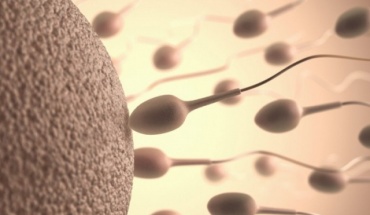 Επηρεάζει ο κορωνοϊός την ποιότητα του σπέρματος;
